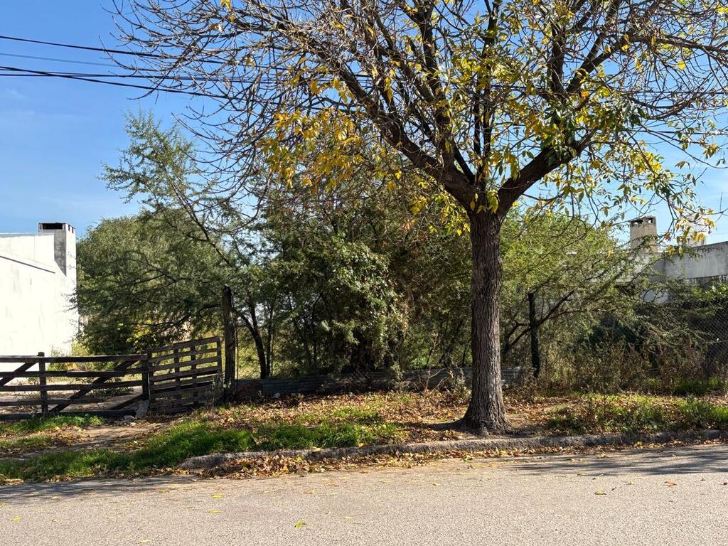 Terreno Calle San Juan